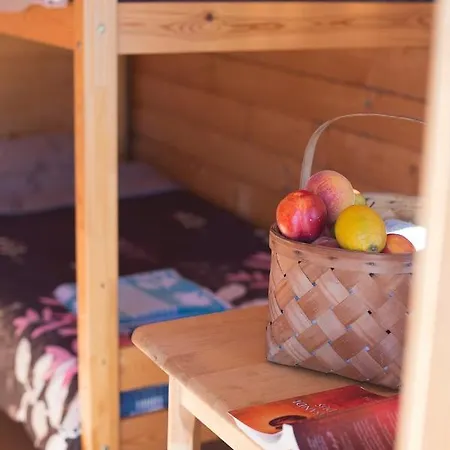 Campsite Paradise Surf Medium