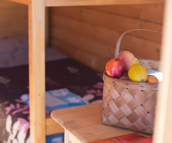 Campsite Paradise Surf Medium