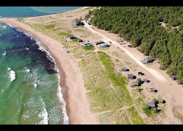 Campsite Paradise Surf Medium *