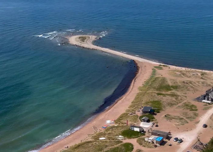 Paradise Surf Medium * Kalana