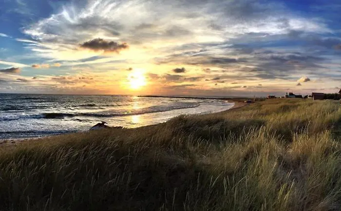 Paradise Surf Medium