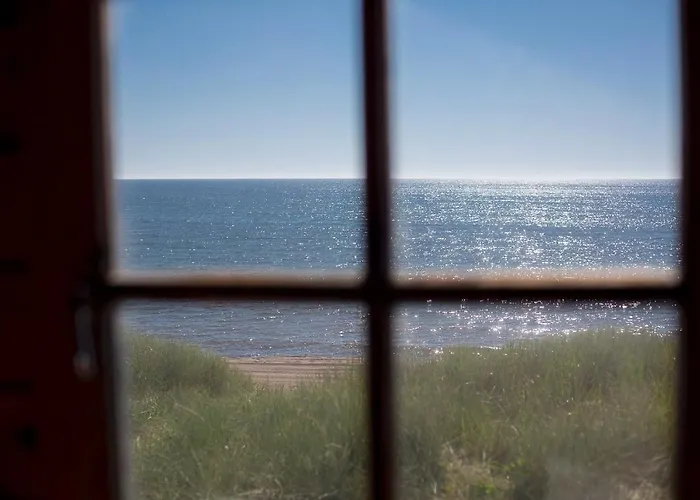 Paradise Surf Medium Campsite