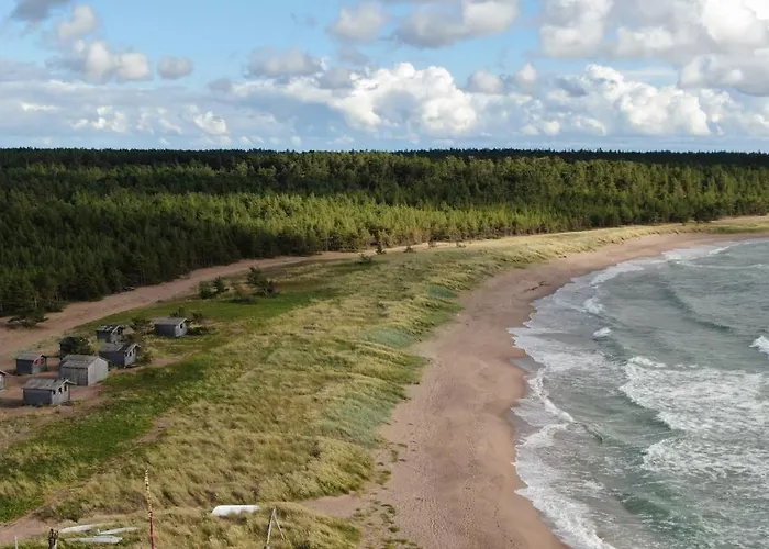 Campsite Paradise Surf Medium Kalana