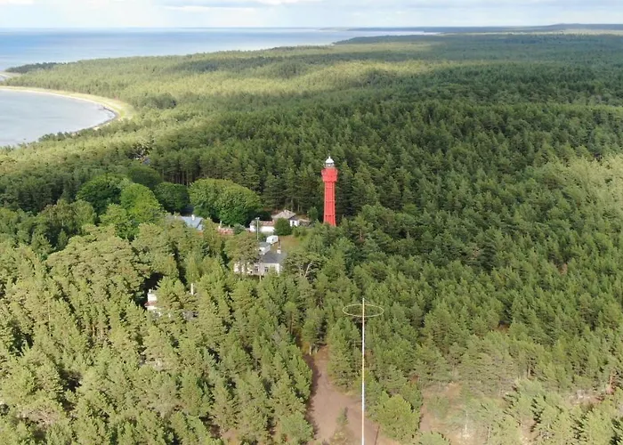 Paradise Surf Medium